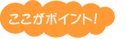ここがポイント!